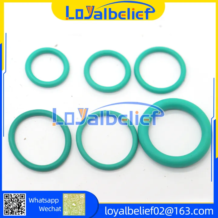 AC%20Air%20Conditioning%20Compressor%20Rubber%20O-rings%20270PCS%20R22/R134a%20Repair%20Seal%2018%20Sizes%20O-ring%20Kit%20Green%20Metric%20O%20ring%20Seals%20Nitrile%20-%20Image%205