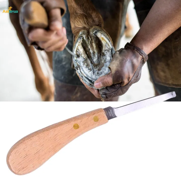 Cattle%20Hoof%20Cutter%20Hoof%20Multipurpose%20Farrier%20Nippers%20goats%20Hoof%20Trimming%20Shear%20Hoof%20Repair%20Tools%20Trimming%20for%20Farm%20Animal%20Pig%20Livestock%20-%20Image%202