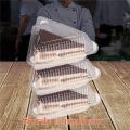 400Pcs Triangle Cheesecake Boxes Slice Cake Box Triangle Pie Holders Cake Boxes for Bakery Party Wedding. 