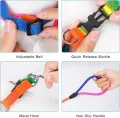 Cat and Dog Harness and Leash Set Vest Leash Collar Set Adjustable Rainbow. 