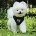 2023 Breathable Dog Accessories Mesh Nylon Durable Walking Dog Rope Pet Chest Strap Dog Traction Rope Dog Harness And Leash. 