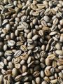 Sri Lankan Roasted Arabica Coffee Beans 500g. 