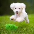Benepaw Durable Dog Chew Toys For Medium Large Dogs Squeaker Eco-friendly Soft Rubber Pig Toy Pet Interactive Relieve Anxierty. 