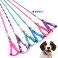 Large Size Dog harness and leash Printed colour. 