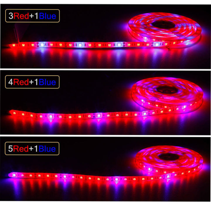 12V%205050%205m%20LED%20Strip%20Grow%20light%20Full%20Spectrum%20LED%20Flower%20Plant%20Phyto%20Growth%20lamp%20For%20Greenhouse%20Hydroponic%20Plant%20Growing%20-%20Image%206