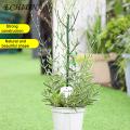 Plant Support Poles Adjustable Plant Support Pole Stake for Stable Indoor Potted Plants Prevent Falling Windproof Southeast Asian Buyers' Choice Plant Climing Holders. 