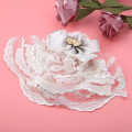 Wedding Veil Pet Formal Dog Hair Accessories Soft Hairpins Easy to Wear. 