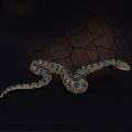 New Realistic Rubber Toy Snake North Green Anaconda Scary Halloween Props Toy. 