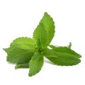 STIVEA LEAF CUT 100G / DRY STIVEA SUGUR FREE / HERBS/ TEA. 