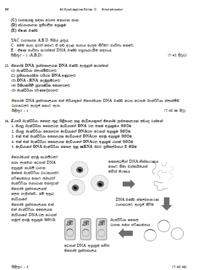 A/L%20Biology%20MCQ%20Questions%20Answers%20and%20Analysis%20-%202%20-%20Grade%2013%20-%20420%20MCQs%20-%20Prof%20Hiran%20Amarasekera%20-%20Image%207