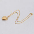 Heart Locket Pendants Necklaces For Women photo frame Valentine lovers Necklace. 