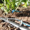 Micro Tube Drip Irrigation 3.2x5mm 10m/50m/100m. 