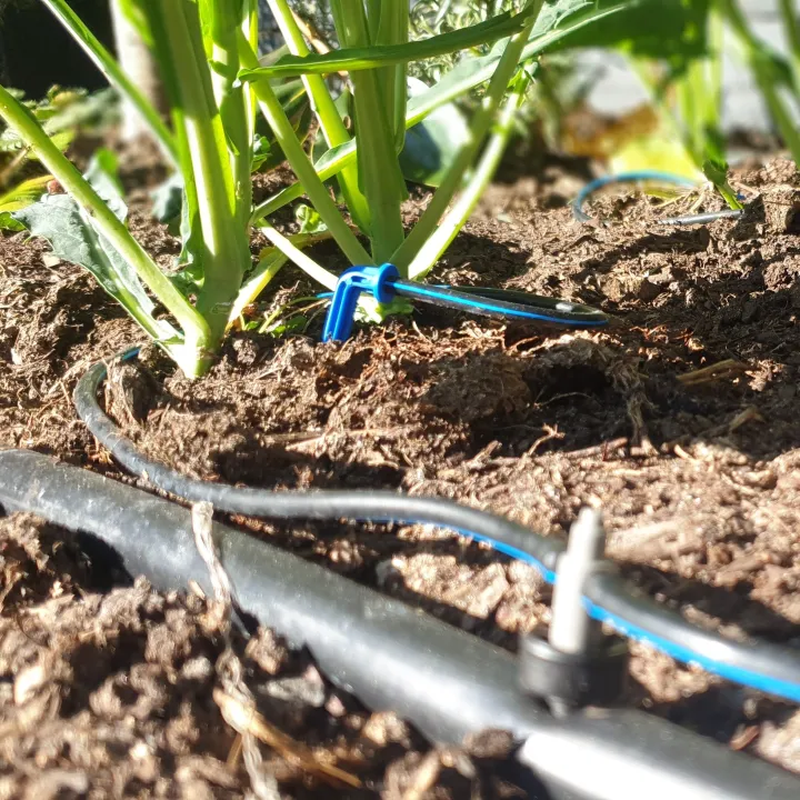 Garden%20Irrigation%20Arrow%20Dripper%20Emitter%20Micro%20Drip%20Irrigation%20System%20Water%20Drop%20Tools%2010/25/50/100%20PCS%20-%20Image%204