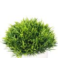 1 Pcs Artificial Plants Potted Green Bonsai Small Tree Grass Plants Pot Ornament Fake Flowers for Home Garden Decoration Wedding Party. 