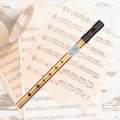 Traditional Penny Whistle Music Instrument Flute Whistling for Kids Beginners. 