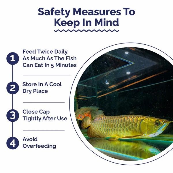 Intan%20Growel%20Arowana%20Sticks%20Big%20110g%20(3.2x9.5mm%20Floating)%20Highly%20Nutritious%20Ornamental%20Fish%20Food%20for%20Arowanas,%20Large%20Cichlids%20like%20Peacock%20Bass%20&%20Oscars%20Fish%20Feed%20-%20Image%206