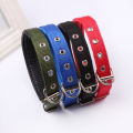 Medium Dog Collar Adjustable Soft Nylon Padded Cushion Necklace Pet Puppy Dog Belt Blue Black Red Green Collars Safety Dogs Belt Dog Strap Accessory Metal Buckle Pets Dog Chain Dogs Sale Sri Lanka Dogs Sale Strip Lanka Dogs Sell Pets Dog Sale. 