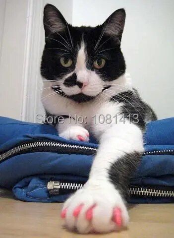 20%20s/lot%20Soft%20Cat%20Silicone%20Nail%20Caps%20Soft%20Cat%20Paw%20Pet%20Nail%20Protector%20With%20Adhesive%20Glue%20and%20Applicator%20Size%20XS%20S%20M%20L%20-%20Image%202