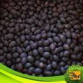 CeylonExpress - Export Quality Red Lotus Seed 10 PCs For Potted Planting Best Hybrid Bonsai Vegetable and Flower Seeds For Home Gardening. 