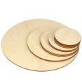 10PCS Natural Wood Pieces Slice Round Unfinished Wooden Discs for Crafts Centerpieces DIY Christmas Ornaments 4inch. 