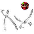 Cherry Olive Pitter Stoner Pits Seed Fruit Remover Core Tool Corrosion Resistant. 