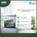 JAT White Interior  Emulsion Brilliant White 20L. 