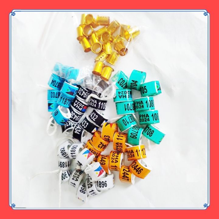 VibeVendor%2010%20/20%20Sets%202024%20PHA%20Oval%20Pigeon%20Ring%20with%20Inner%20Ring%20Set%20Singsing%20Kalapati%202024%20PHA%20Oval%20Pigeon%20Ring%20Set%20-%20Image%203