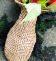 flower pots / wewal mal pochchi / rattan pots / rattan flower pot / wood pot. 