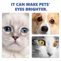 Cataract Drops for Dogs, Dog Eye Drops, Effective Dog Eye Infection Treatment Dog Eye Cleaner Cataract Eye Drops, Improve Vision Clarity, Relieve Red Eyes & Allergy Symptoms. 
