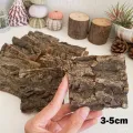 Natural Cork Bark for Tarantula Hideout Reptile Terrarium Climb Platform Tree Bark Background. 