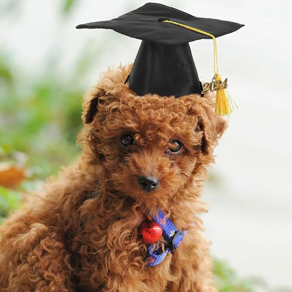 Unique Pet Hat Design Pet Graduation Hat with Tassel for Cats Dogs