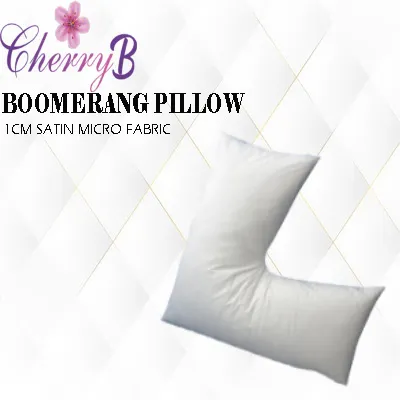 Boomerang Pillow