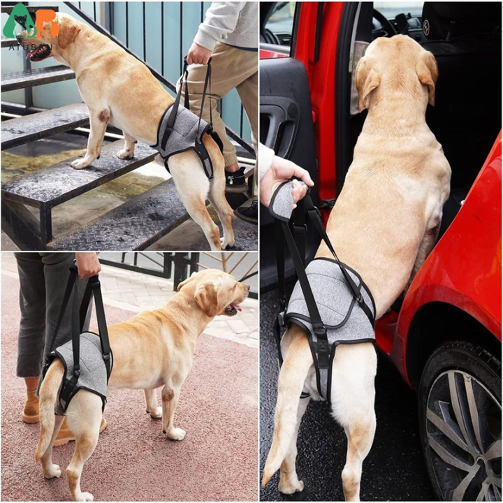 Dog%20Sling%20for%20Injured%20Dogs%20Leg%20Support%20Harness%20for%20Rehabilitation%20Rehabilitation%20of%20Disabilities%20-%20Image%202