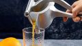 FRUIT PRESS with Innoxious Material. 