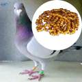 100Pcs 2024 Pigeon Aluminium Dove Leg Rings Accessories Lightweight Inner. 