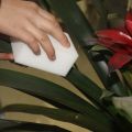 10 pieces Magic Sponge Eraser Kitchen duster Car wipes Home Clean Accessory/Microfiber Dish Cleaning sponge nano 10x6x2cm. 