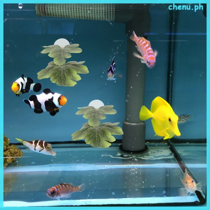 Betta%20Resting%20Leaves%20Fish%20Tank%20Decorations%20Aquatic%20Plants%20Decorate%20chenu%20-%20Image%206