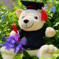 Graduation Teddy Bear Graduation Gift Toy Teddy Bear. 