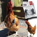 Lovinland Fighting Chicken Arm Prank Chicken Arm Toy Dinosaur Hand Muscle Pet Chicken Arm. 
