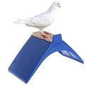Pigeon Stand Bird Watching Equipment Pigeon Feeder And Waterer Pigeon Coop Accessory. 