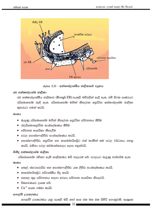 Biology%20%7C%20NIE%20Resource%20Book%20Grade%2012%20(Unit%201/5-i)%20Sinhala%20-%20Image%207