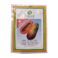 Red Lady Papaya 10 Seeds - High Quality Seeds. 