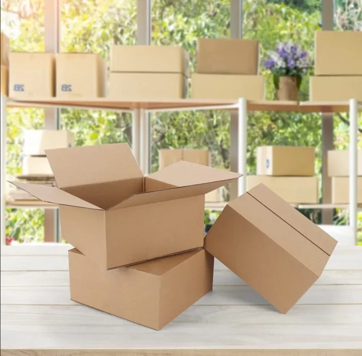 19%C3%9714%C3%9711%20CM%20Packaging%20box%20(10%20Boxes)%20Cardboard%20Paper%20Boxes%20/%20Carton%20for%20Daraz%20Packages%20Mailing%20Packing%20Shipping%20Box%20Corrugated%20Carton%20-%20Image%204