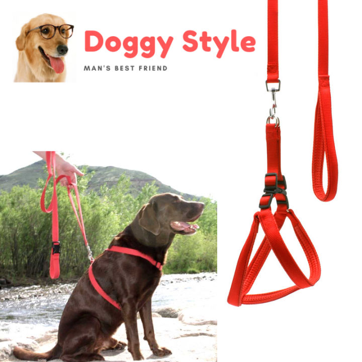 Large Adjustable Dog Harness and Outdoor Walking Nylon Dog Leash Lead Pets Dog Sale Durable Traction Training Rope Dog Belt Dog Chain Dog Body Belt Chest Belt Step-in Harness Strap Stainless Steel Metal Buckle Plastic Clasp Dog Collar Dog Strap Dogs Belt