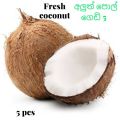 coconut. 