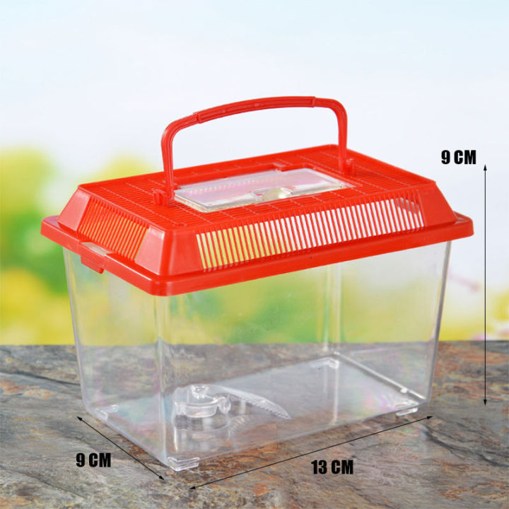Portable Handheld Plastic Fish Tank Transparent Cutout Design For Turtle PetFish Creek