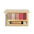 Set Plate Eyeshadow ColorsShimmer Eyeshadow Makeup Brush 5. 