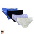 4 in 1 Pack of Soft Seamless Underwear Panties for Women & Girls. 