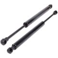 PDTYMWNG 4Pcs Rear Trunk Shocks Lift Strut Support 51248254281 for 3 Series E46 323 325 328 330 M3. 