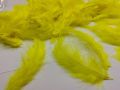 Feathers - 25pcs Pack. 